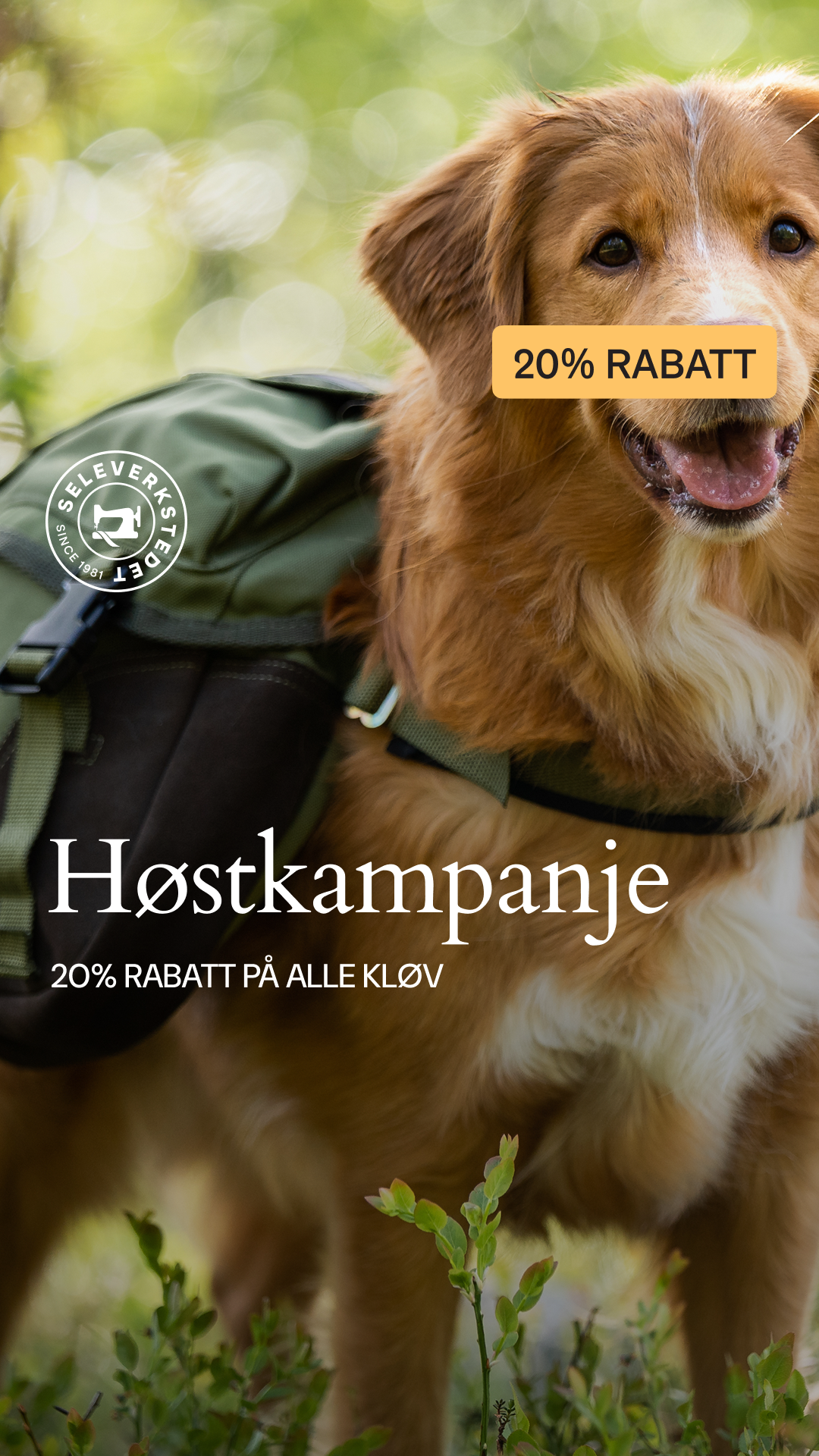 Seleverkstedet Facebook ad