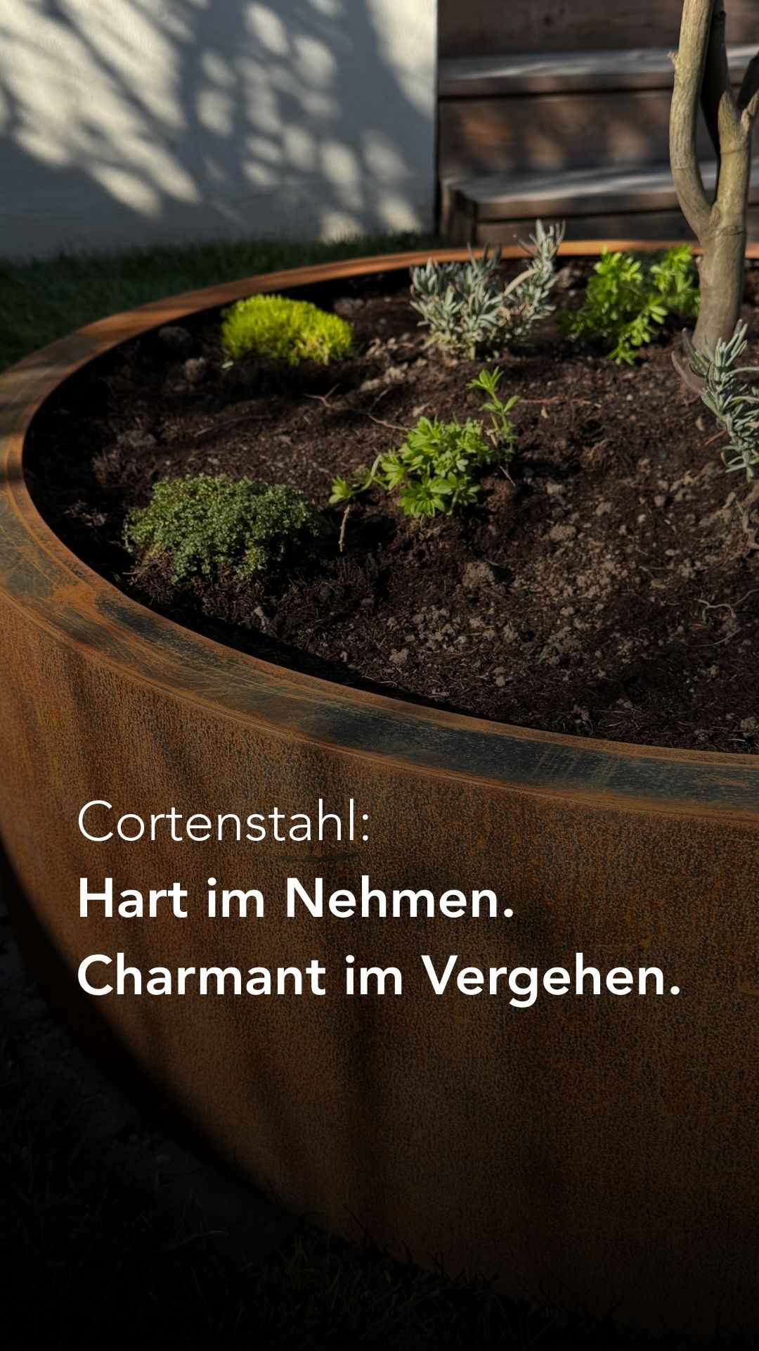 OFIVO Facebook ad