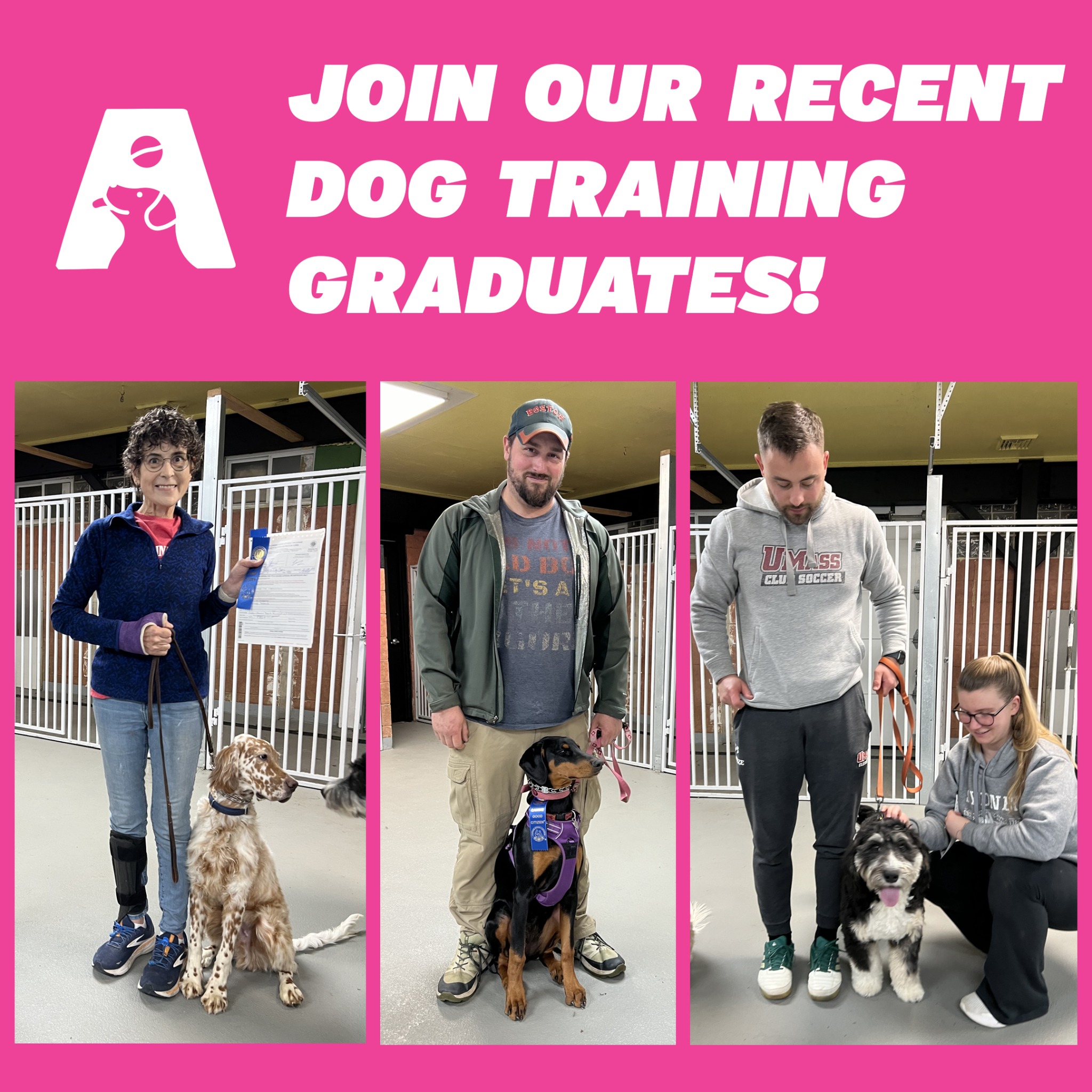 Abby's Dog Care Facebook ad: THE SOLUTION TO YOUR DOG PROBLEMS