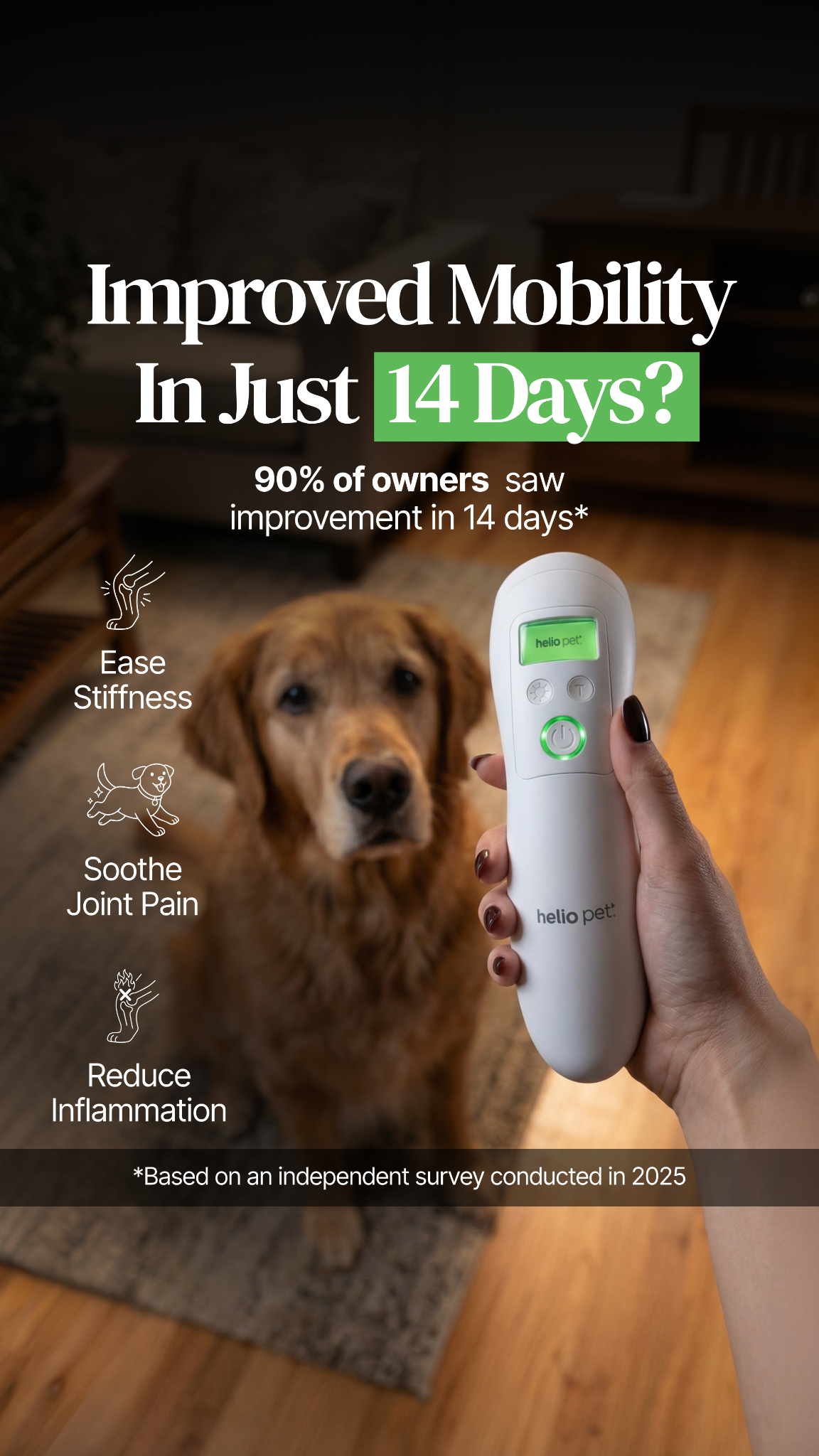 Helio Pet Facebook ad