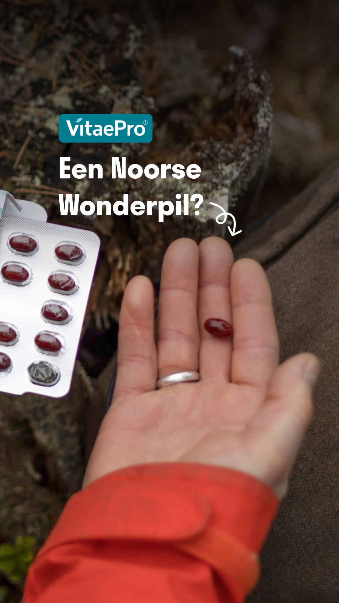 VitaePro Nederland Facebook ad from May 13, 2026