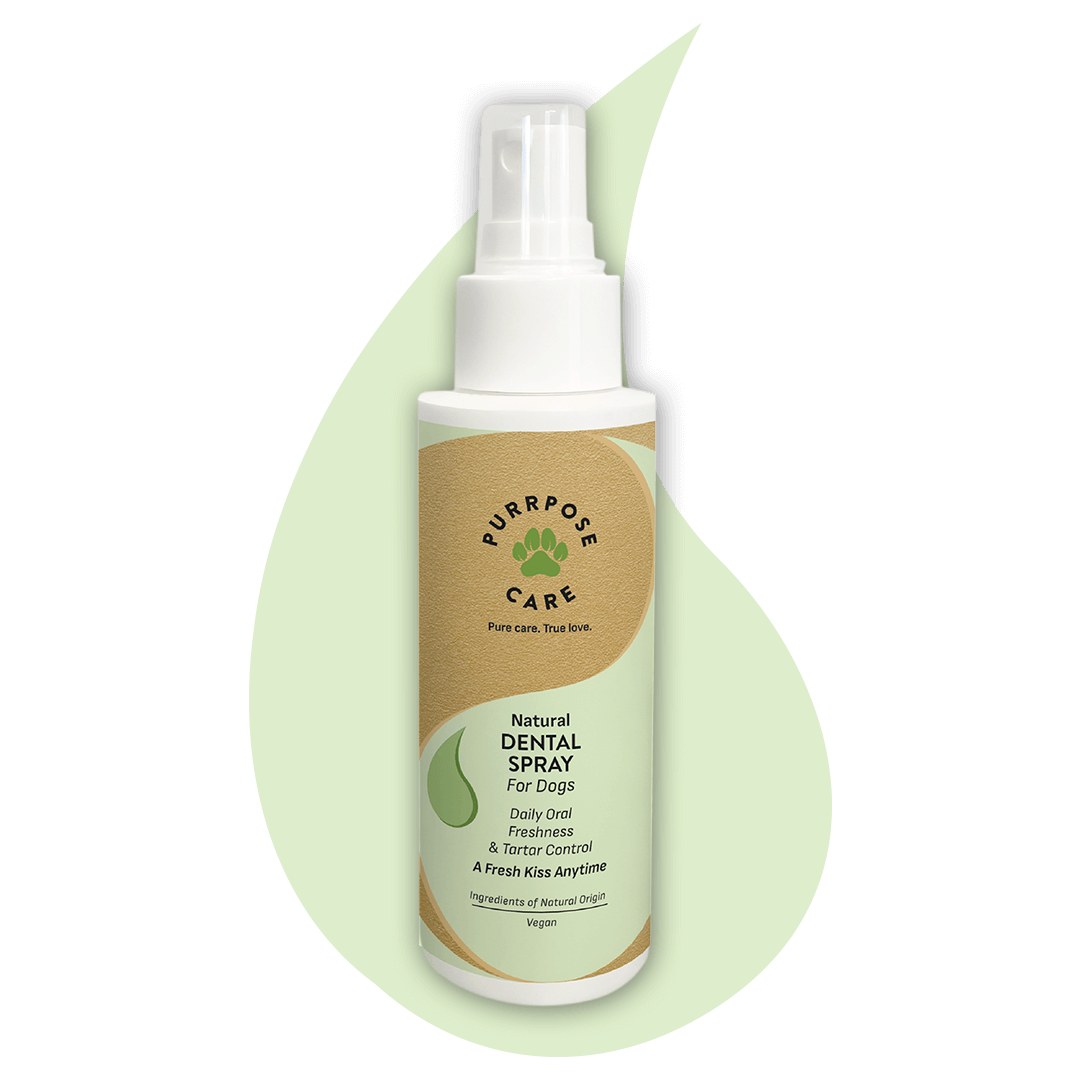 Purrpose Care Facebook ad: GROOMING PRODUCTS