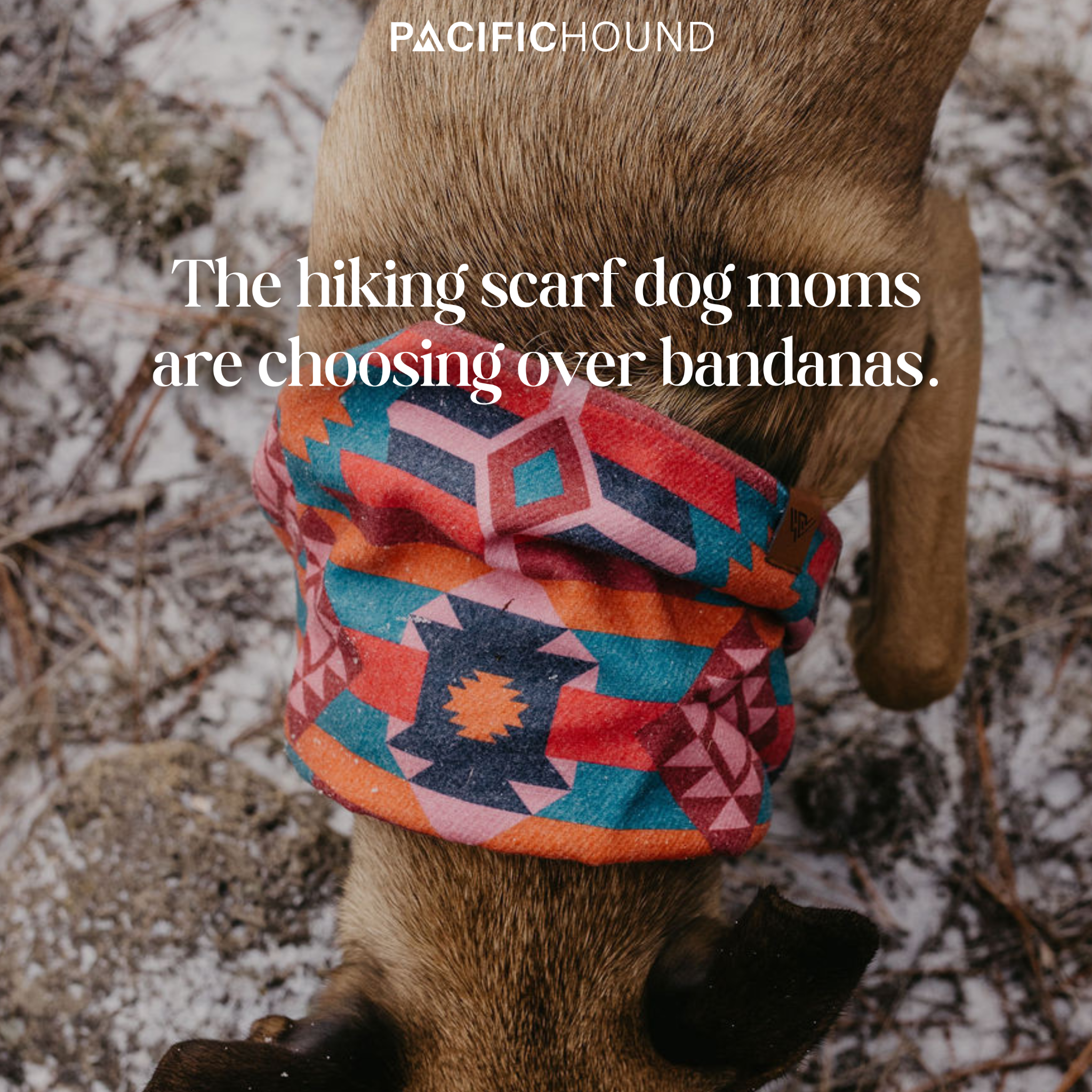 Pacific Hound Facebook ad from Mar 26, 2026