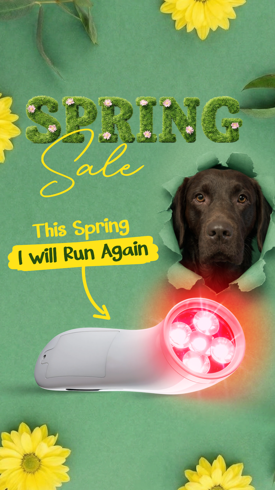 Helio Pet Facebook ad