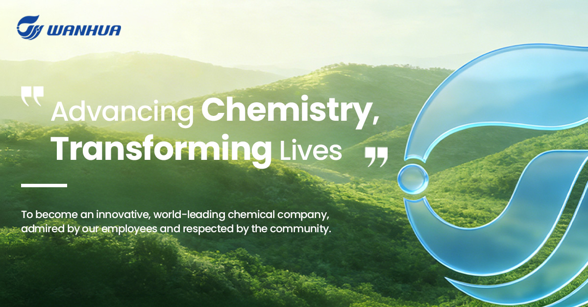 Wanhua Chemical Facebook ad
