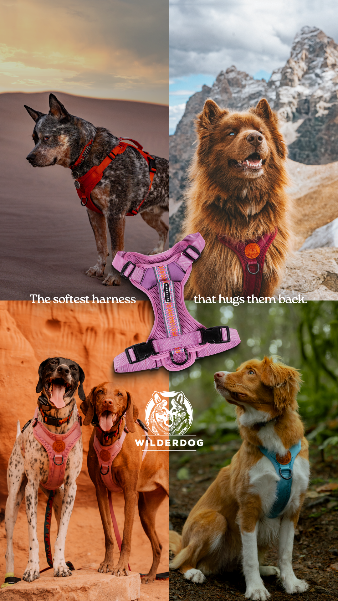 Wilderdog Facebook ad