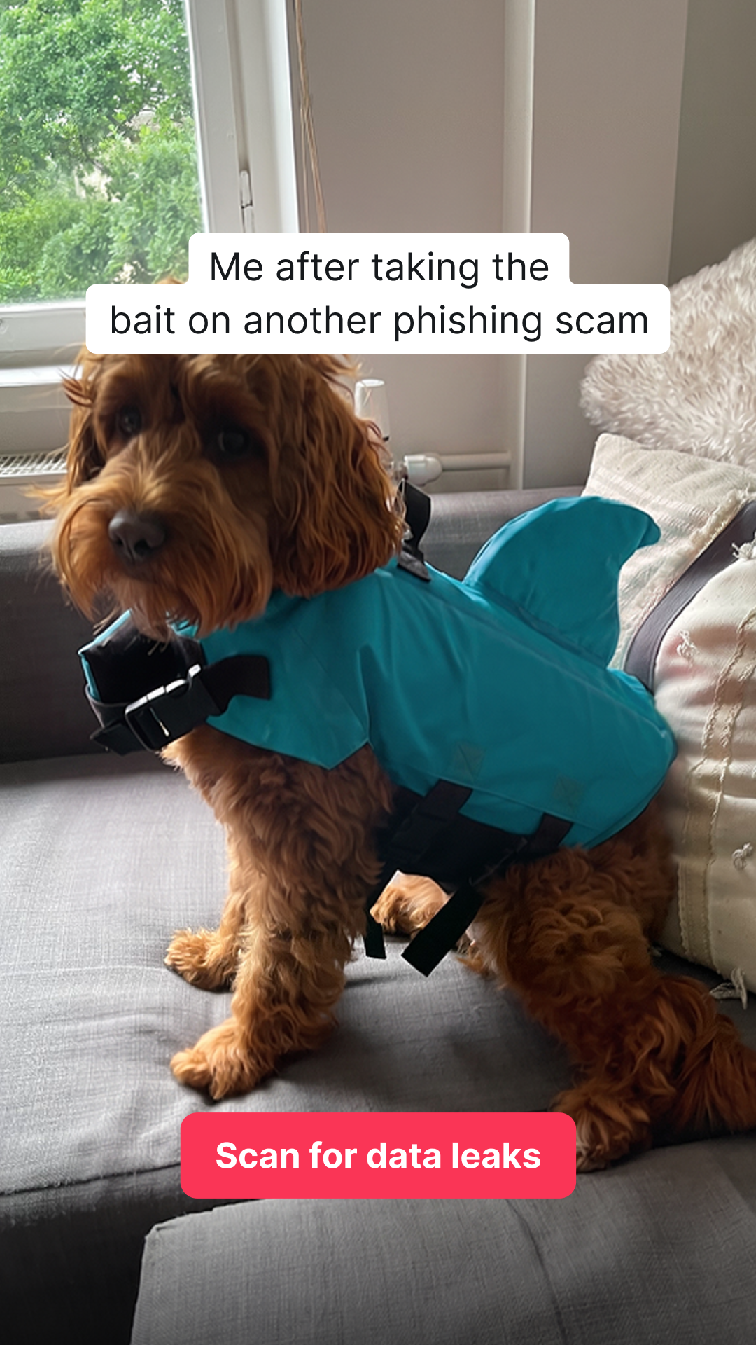Surfshark Facebook ad