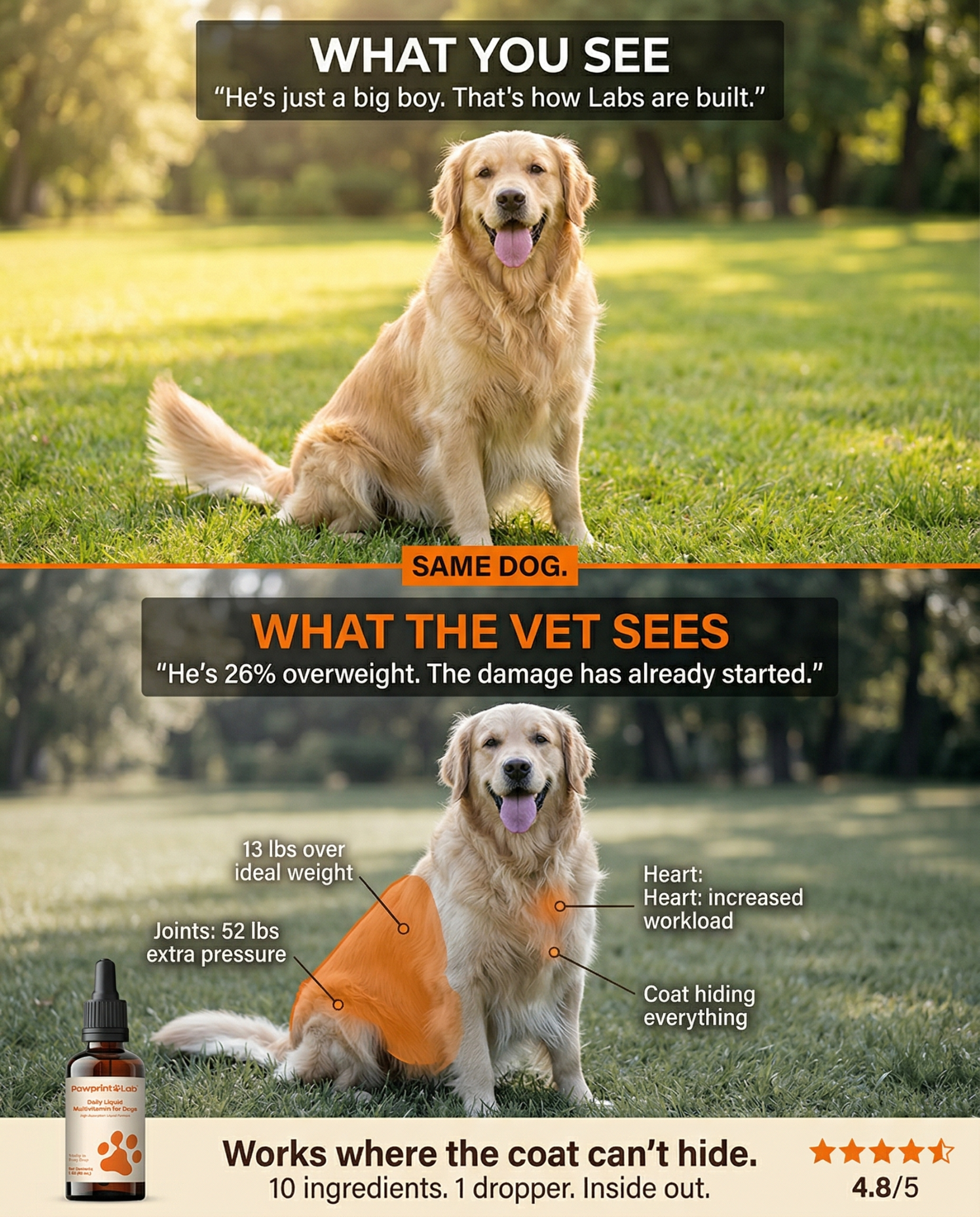 Vet-Approved Pet Products Facebook ad