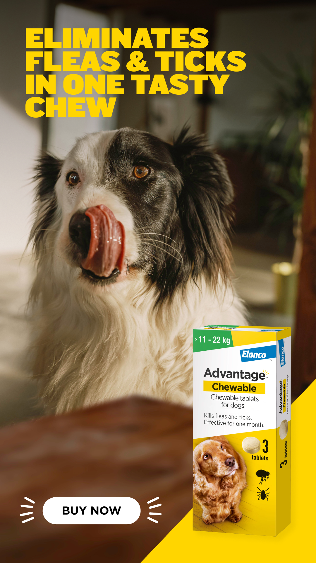 Advantage Chewable UK Facebook ad
