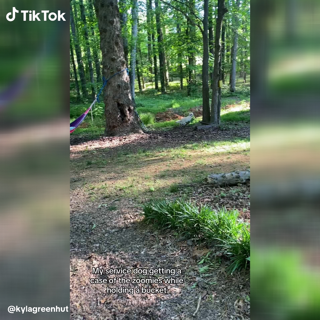 TikTok - EU Facebook ad