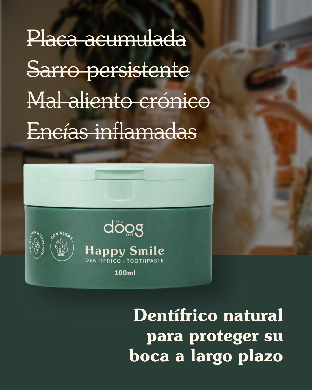 The Doog Life Facebook ad: Tu perro lo pide solo