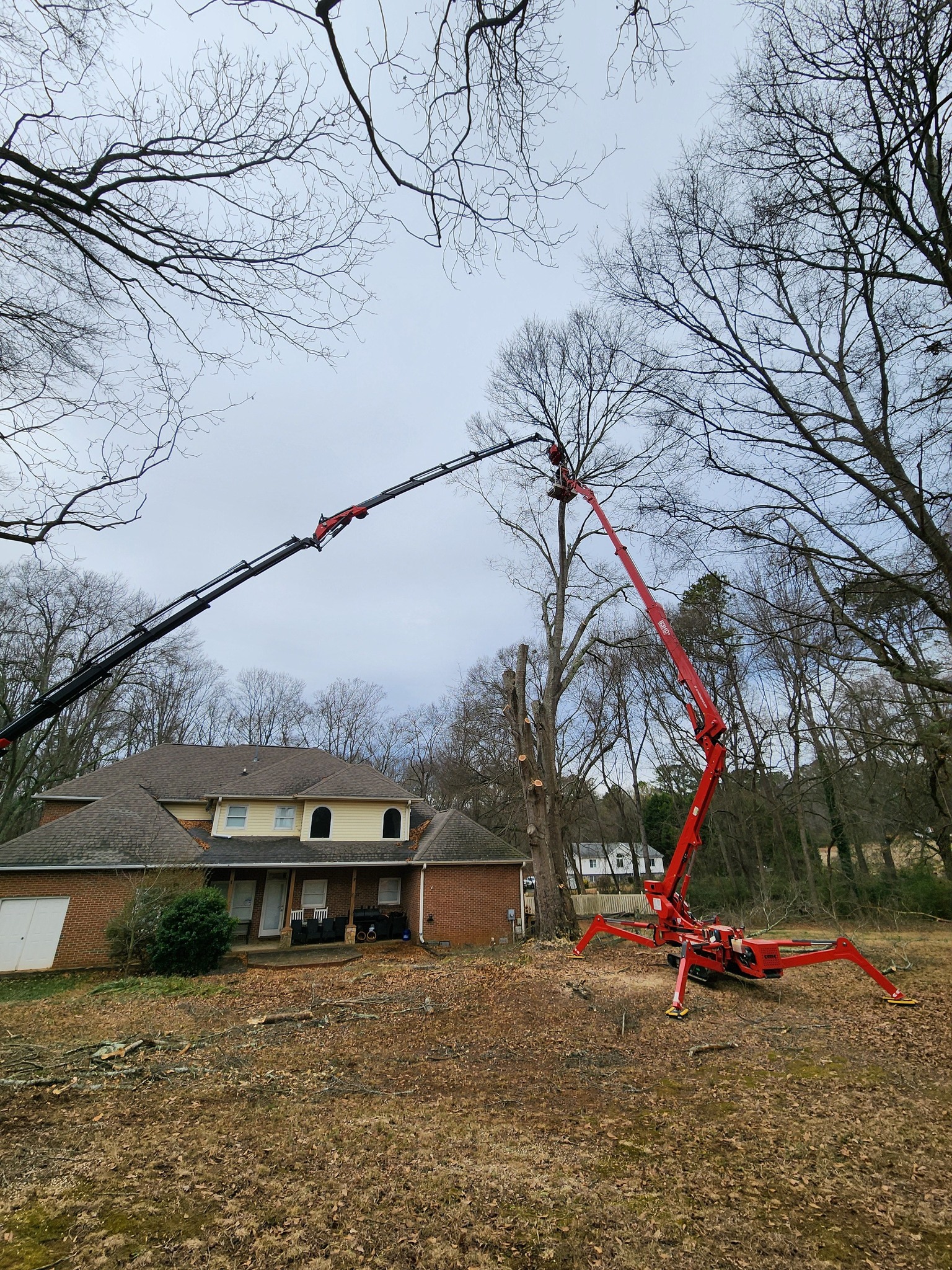 Drop-a-Top Tree Service Facebook ad: Professional Tree Service