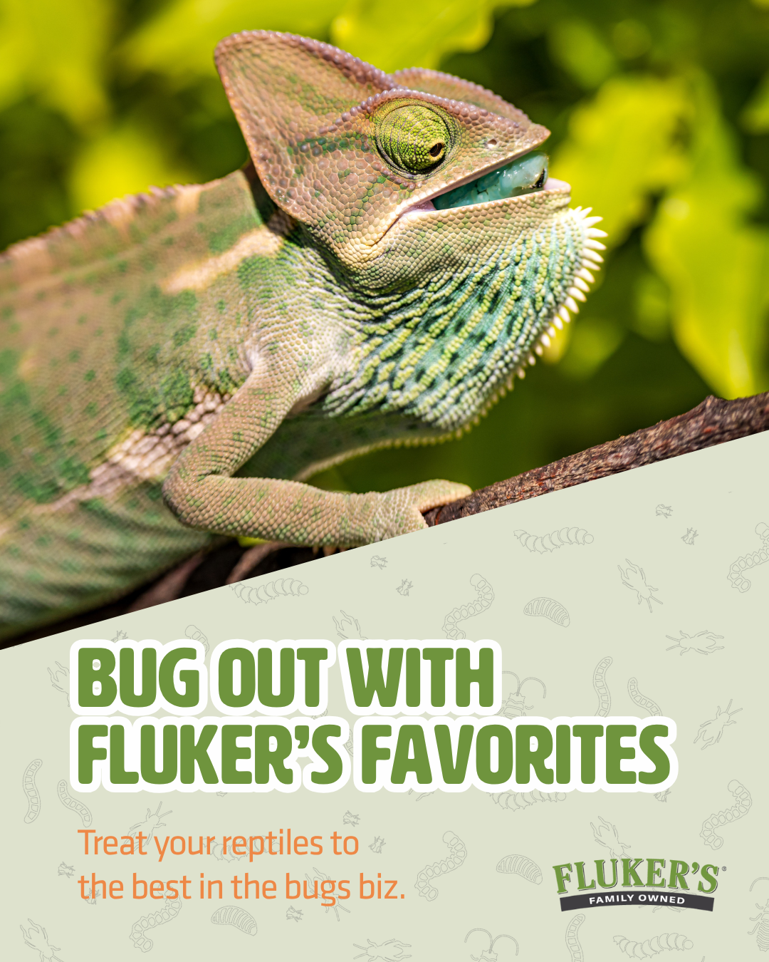 Fluker Farms Facebook ad