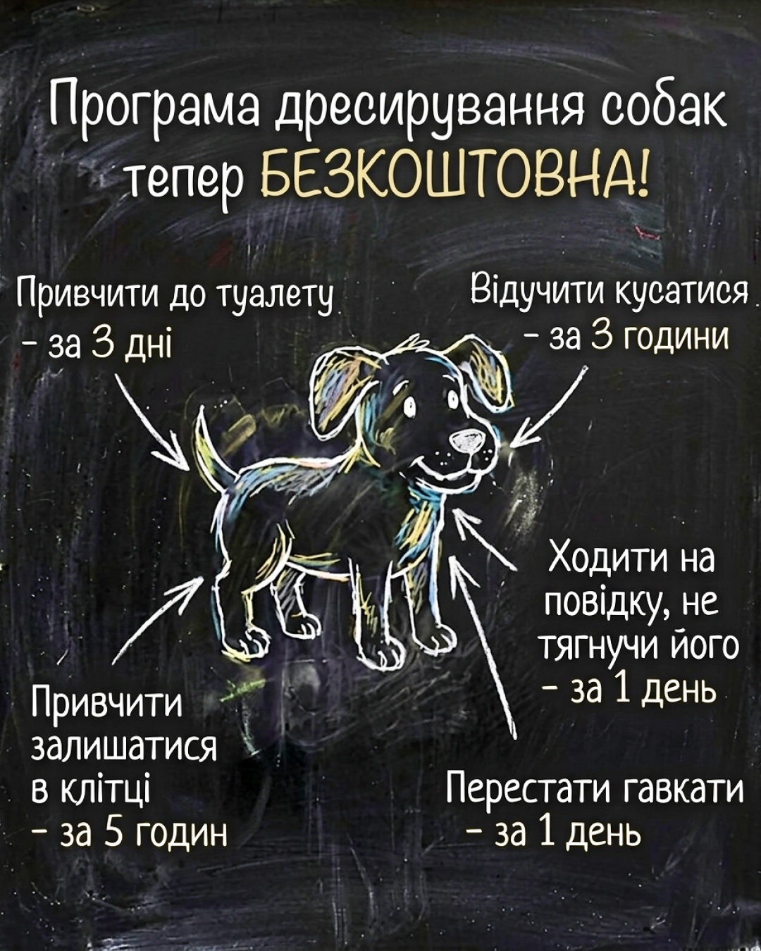 Ben Your Puppy Trainer Facebook ad