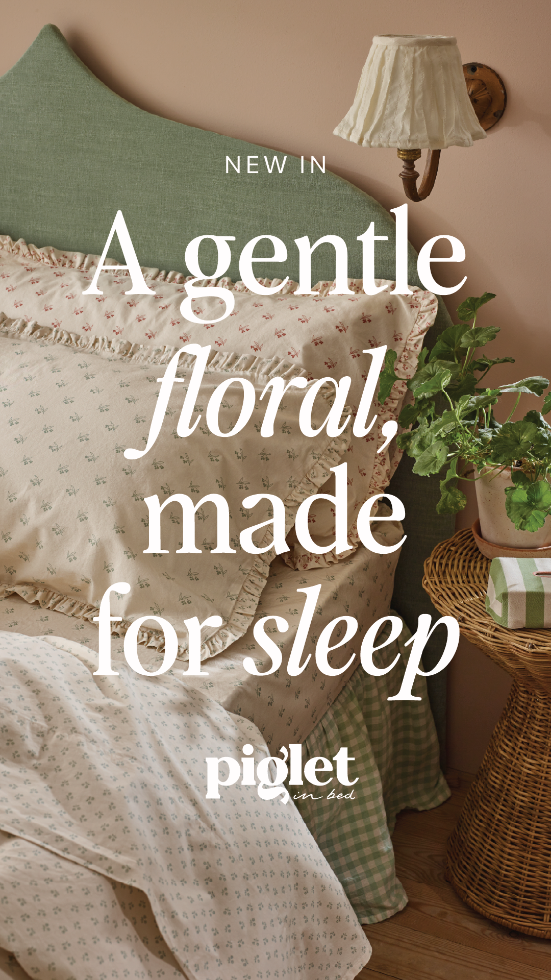 Piglet in Bed Facebook ad