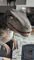 PartySaurus