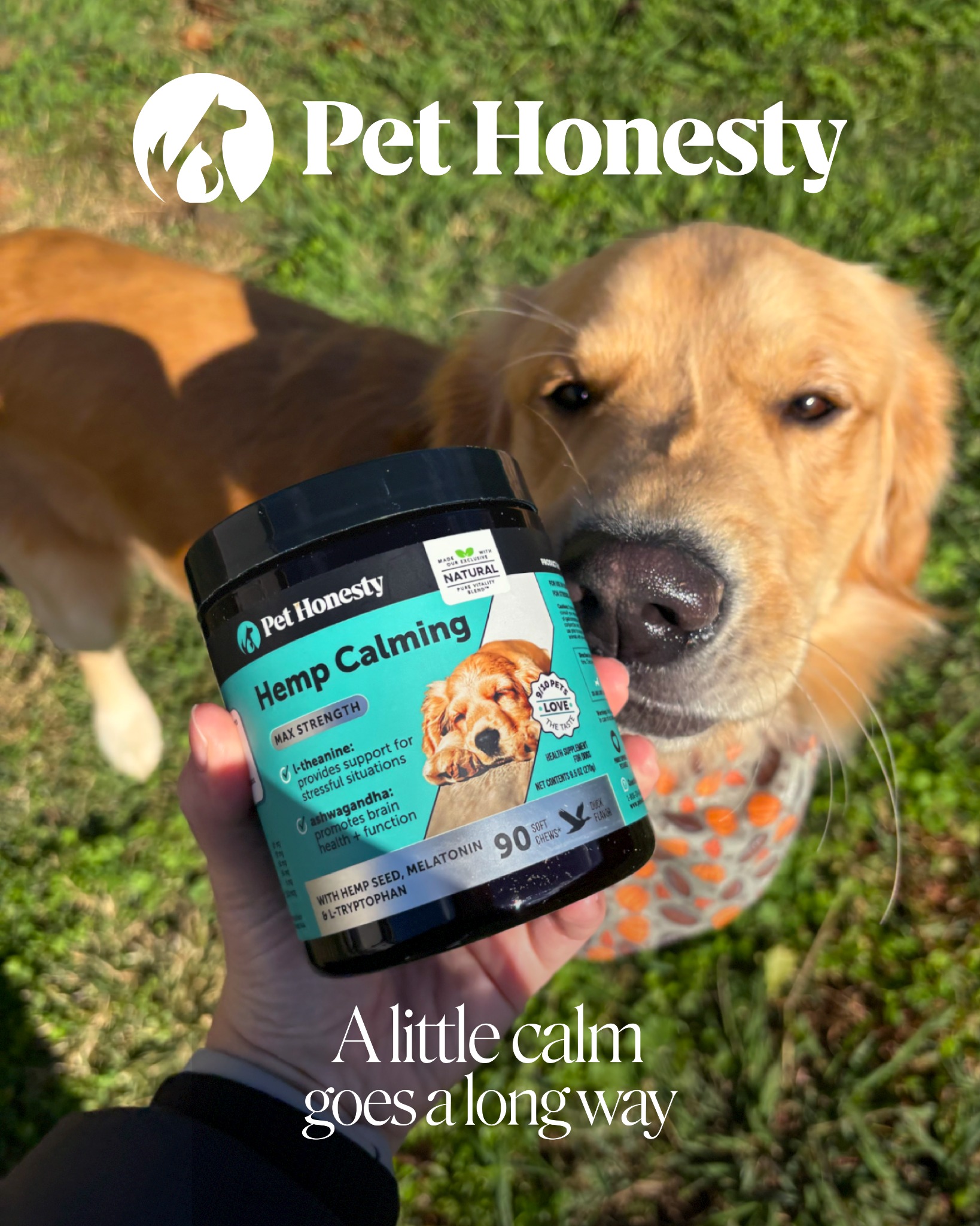 Pet Supplies Plus Facebook ad
