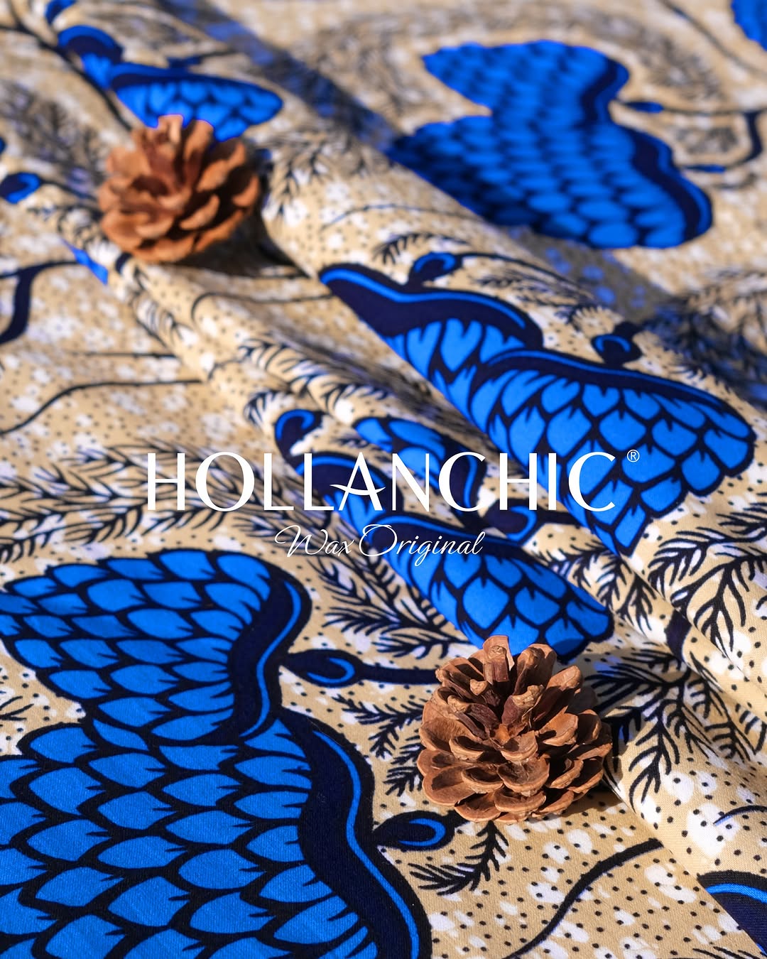 Hollanchic Facebook ad