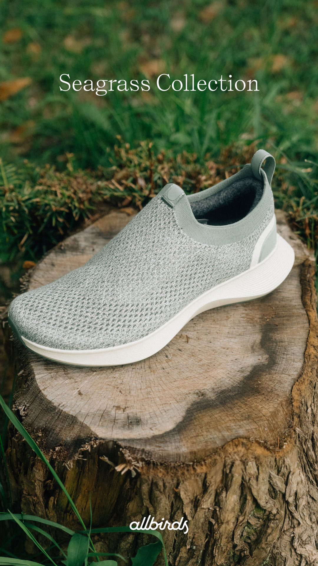 Allbirds Japan Facebook ad