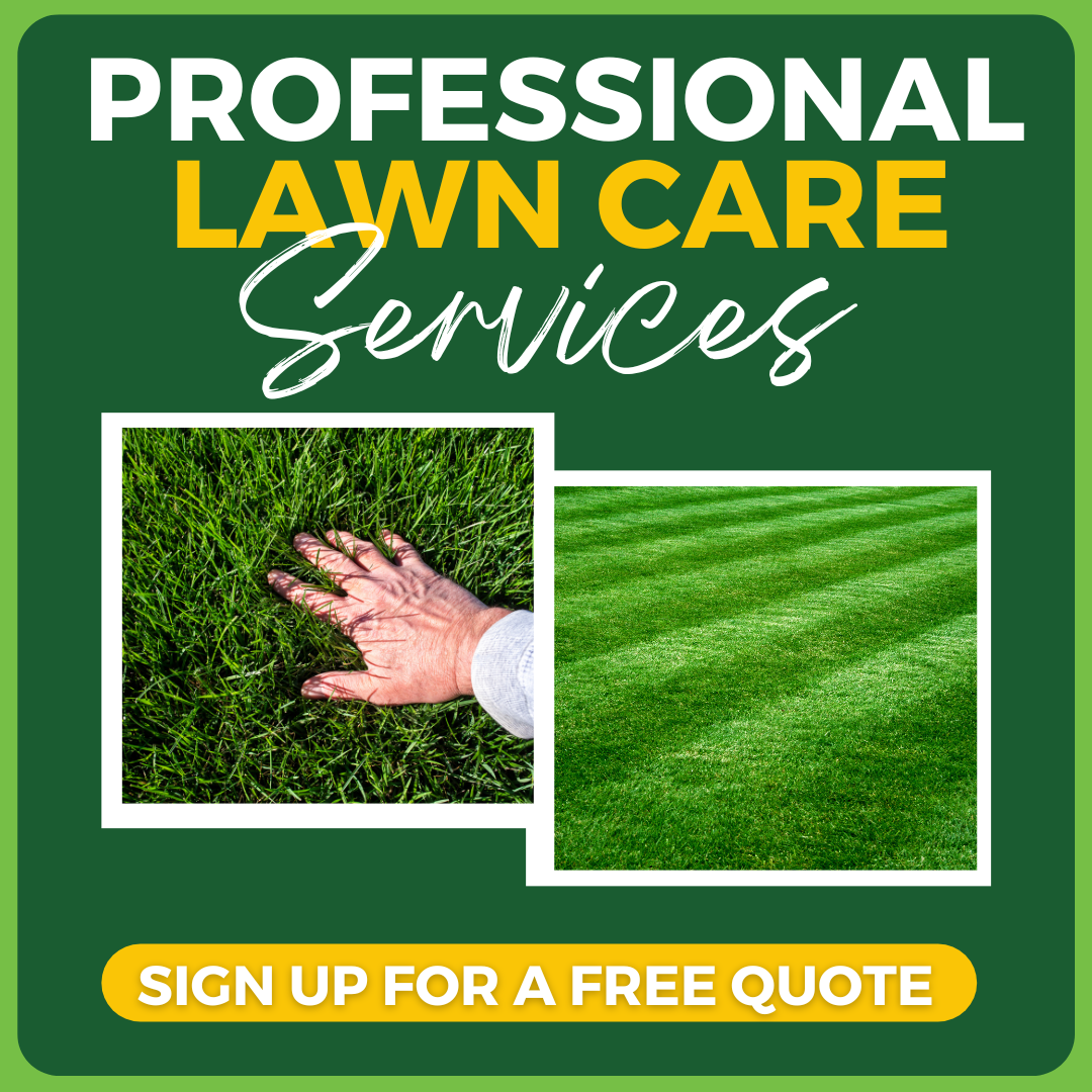 Weiss Lawn Care Inc. and Weiss Snow Removal, Inc. Facebook ad