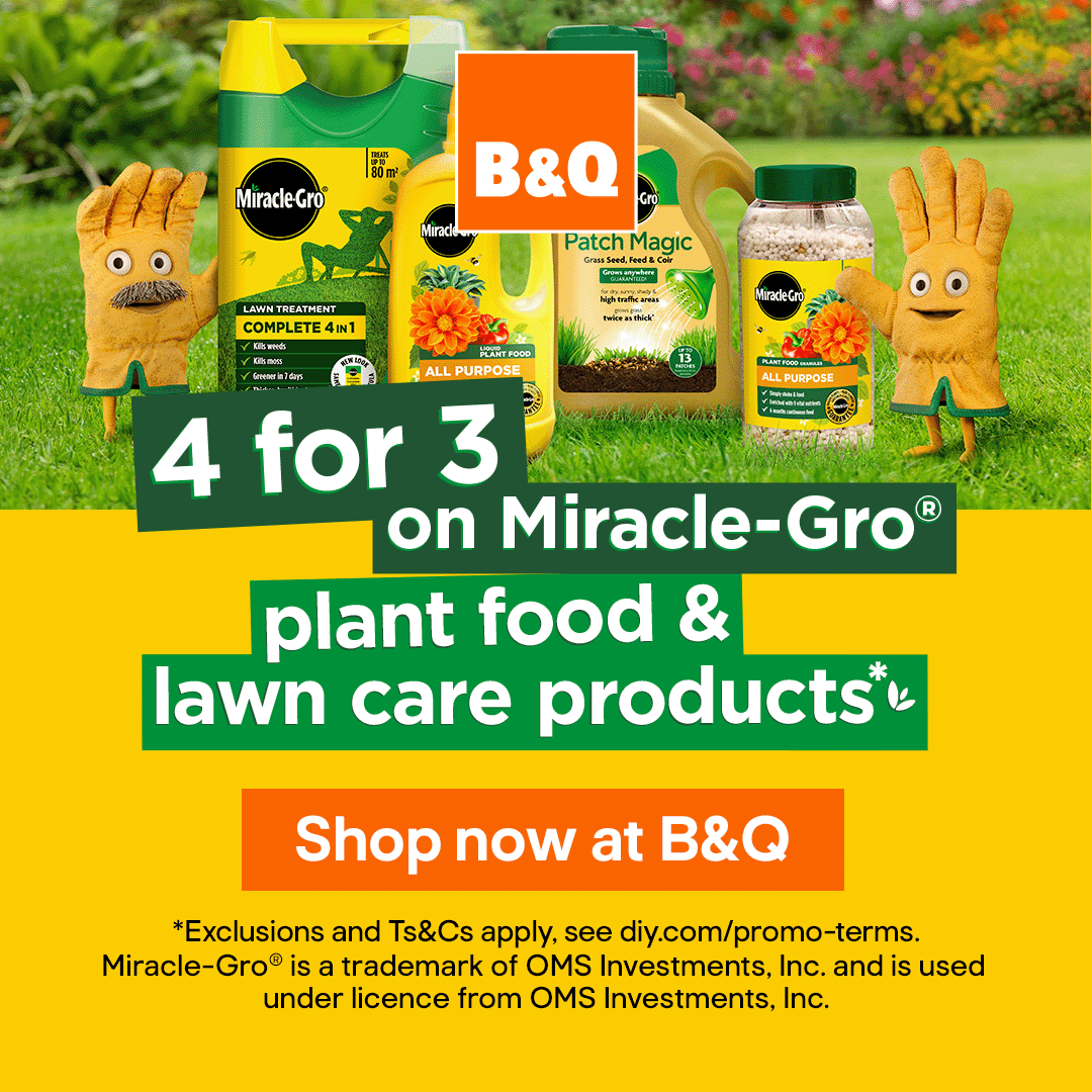 B&Q Facebook ad