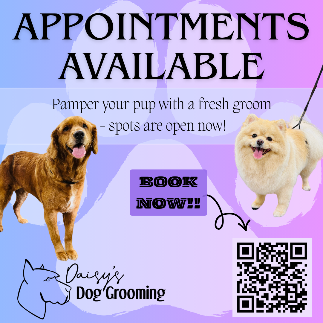 Daisy's Dog Grooming Facebook ad: Daisy's Dog Grooming 24/7 Online Booking