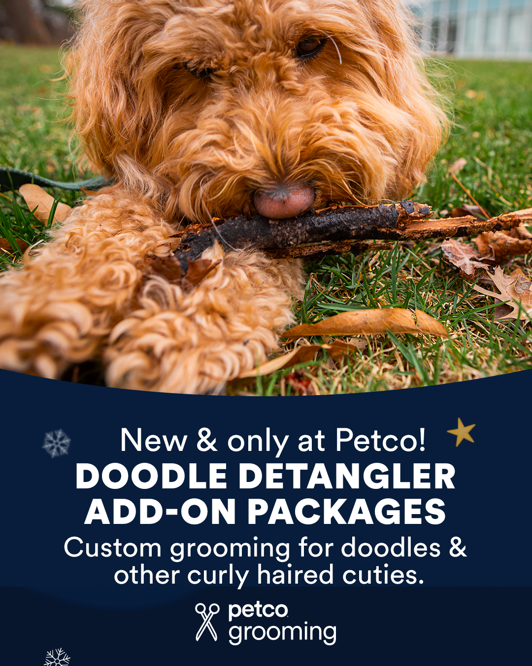 Petco Facebook ad