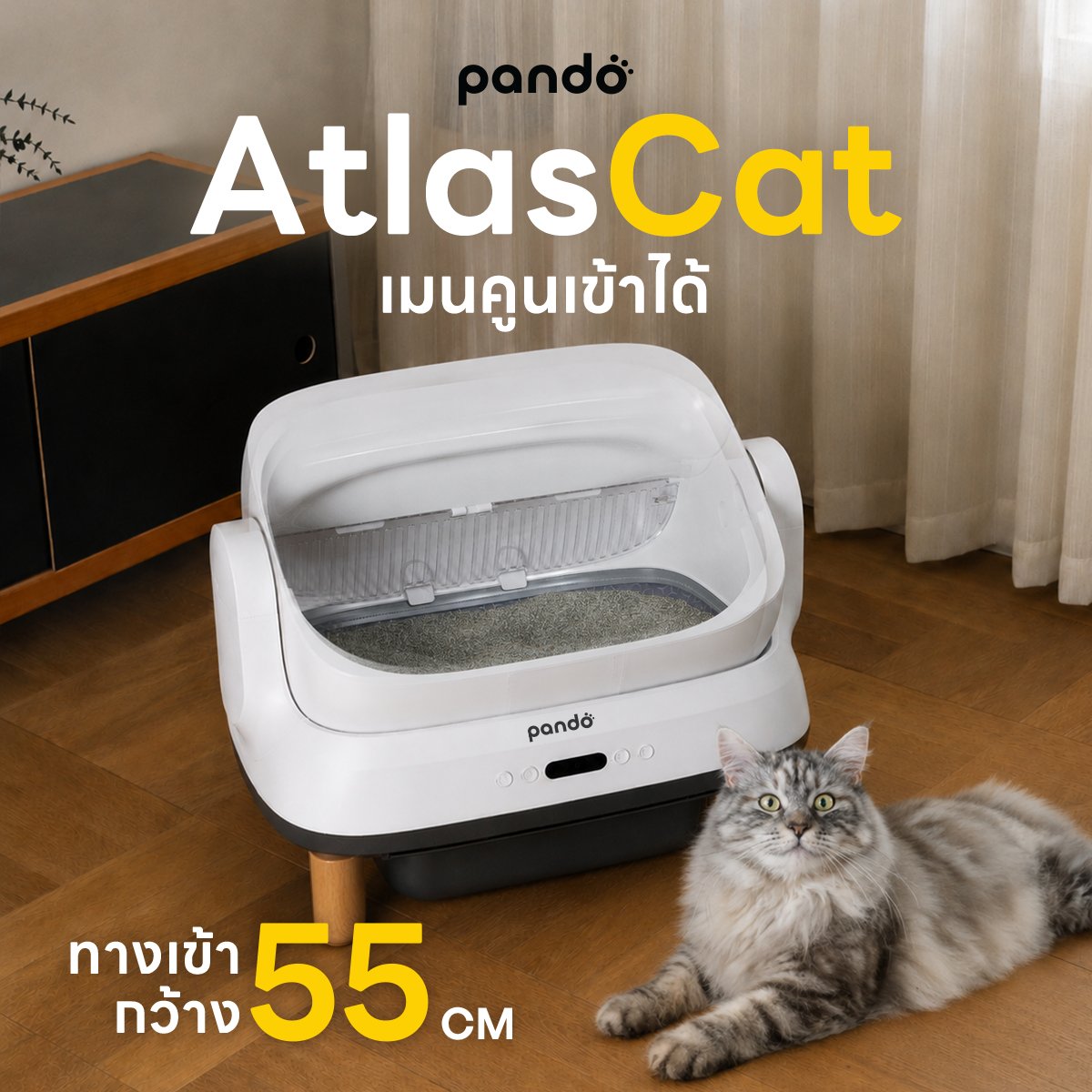 PANDO Facebook ad: Pando AtlasCat ไซส์ใหญ่สุด ช้อปเลยวันนี้