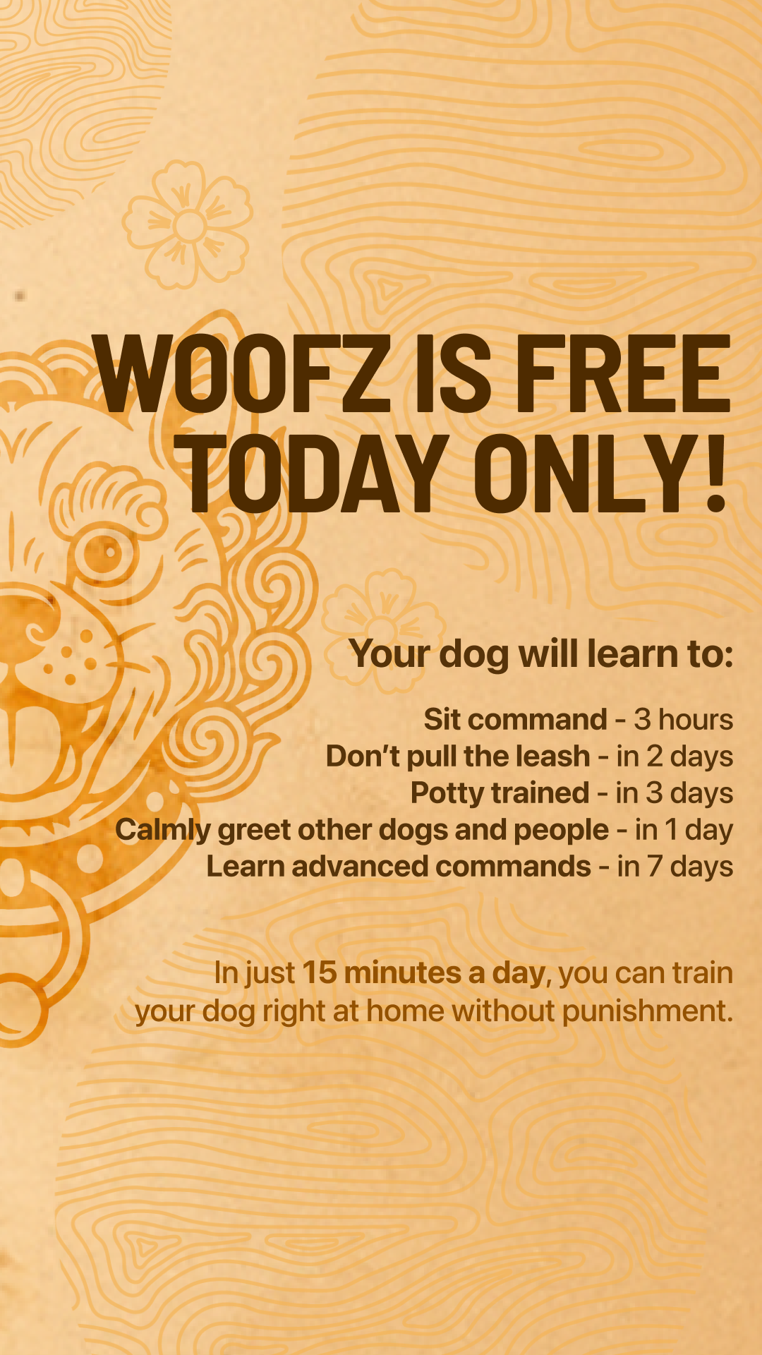 Dog Training Academy Facebook ad: Start training your pup