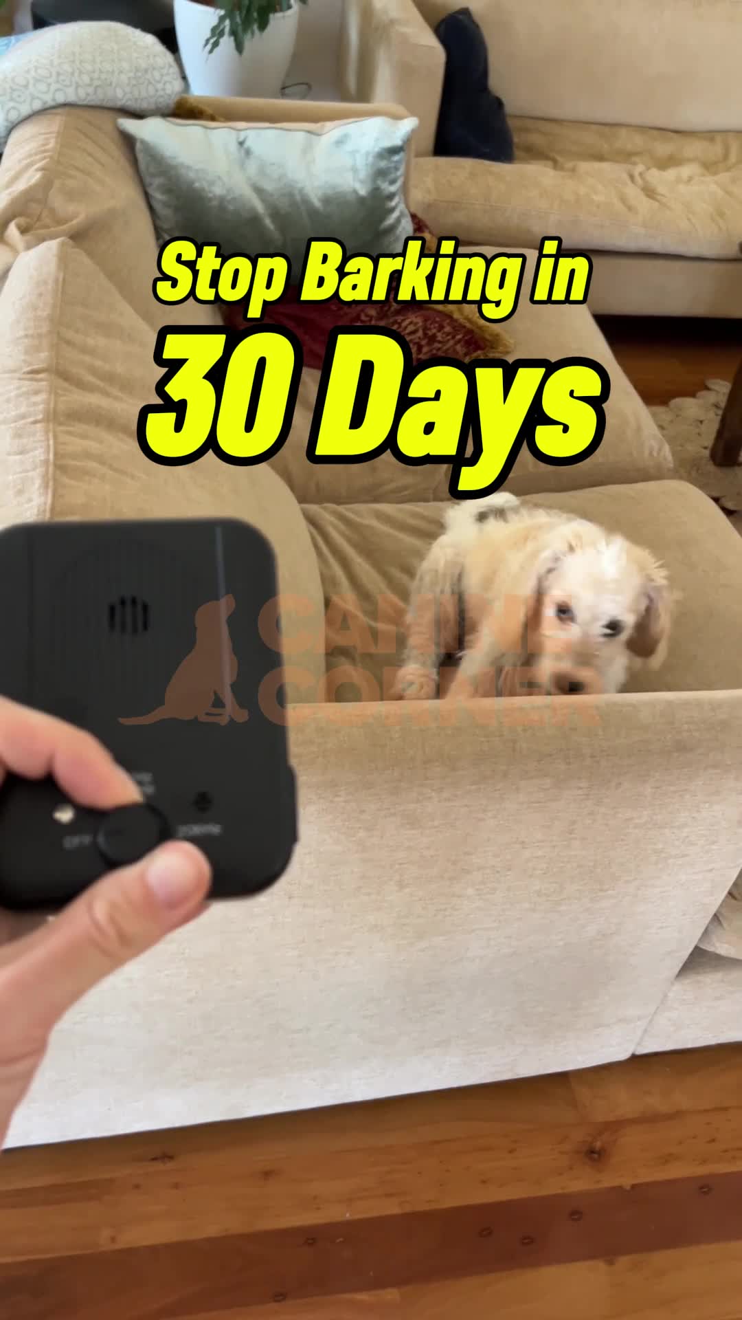 Canine Corner Australia Facebook ad: Automatic Bark Control Solution