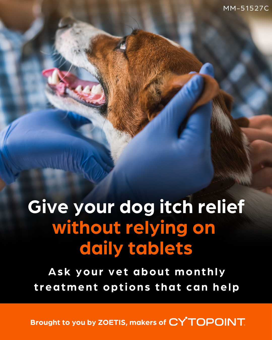 Zoetis Pets Facebook ad: Long-Lasting Itch Relief