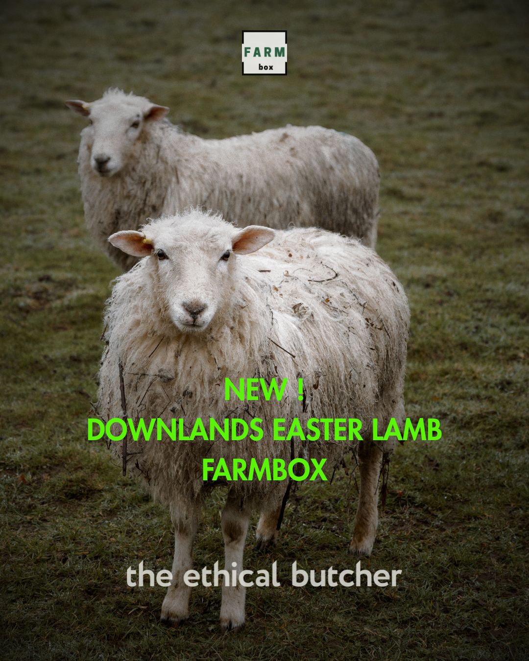 The Ethical Butcher Facebook ad