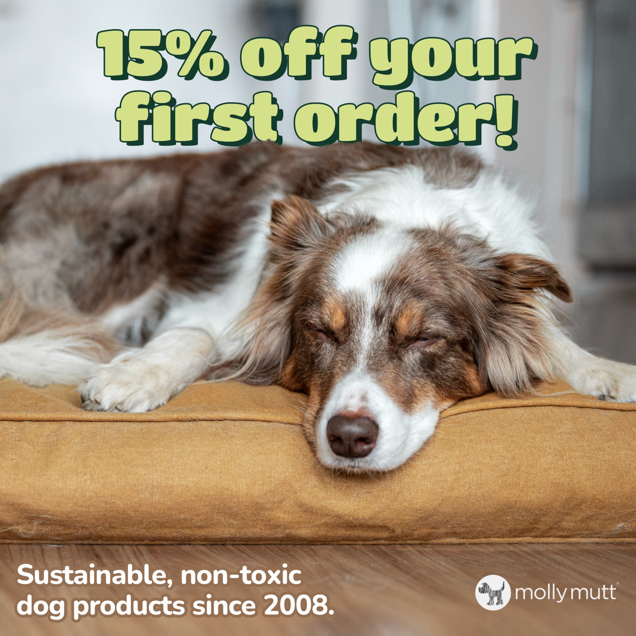 Molly Mutt Facebook ad