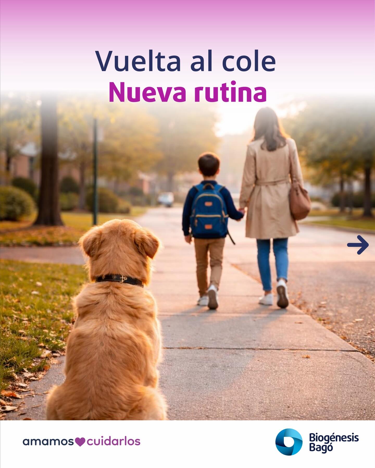 Biogénesis Bagó Pets Facebook ad: Vuelta al cole = nueva rutina
