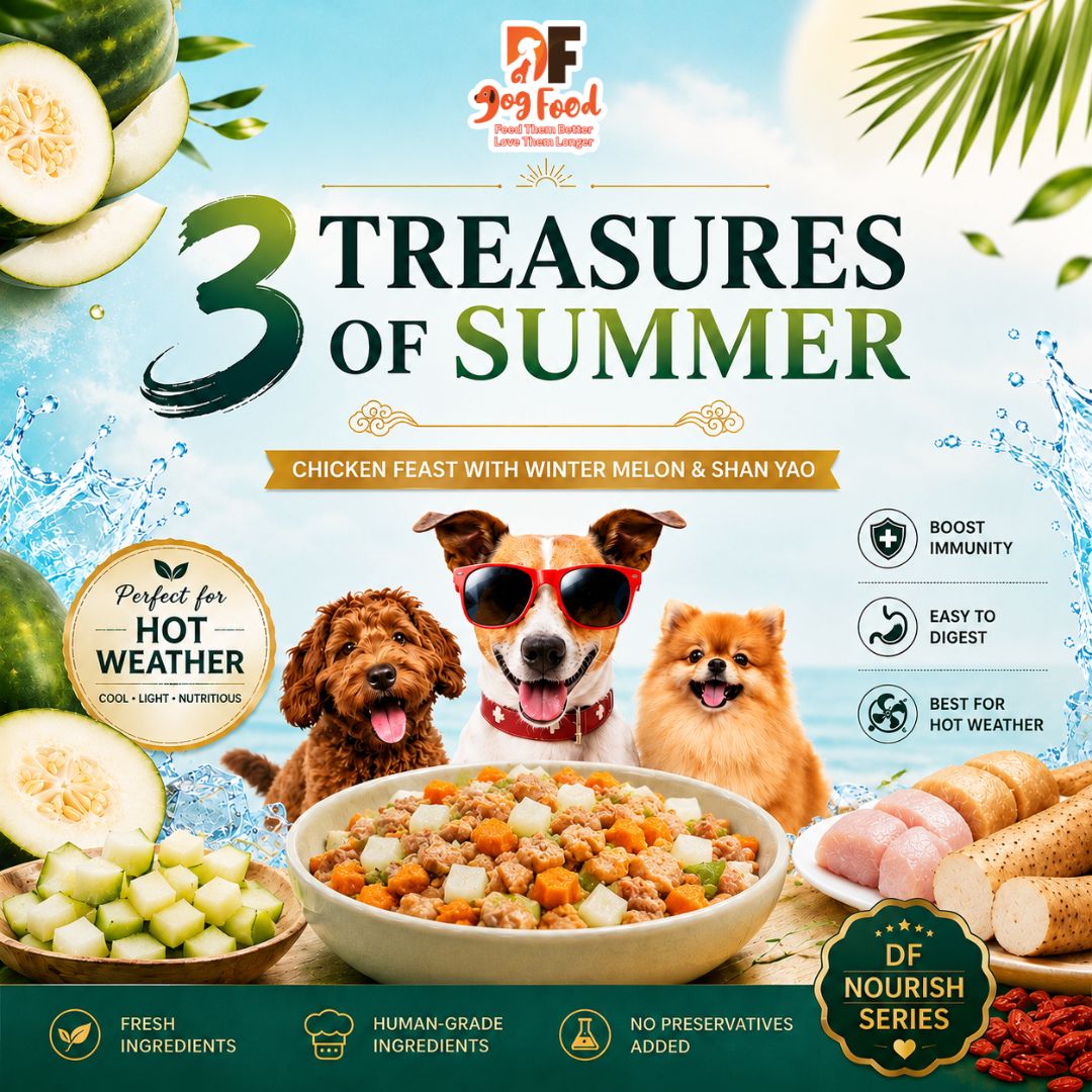 DF DogFood Facebook ad: Beat the Heat with 3 Summer Treasures