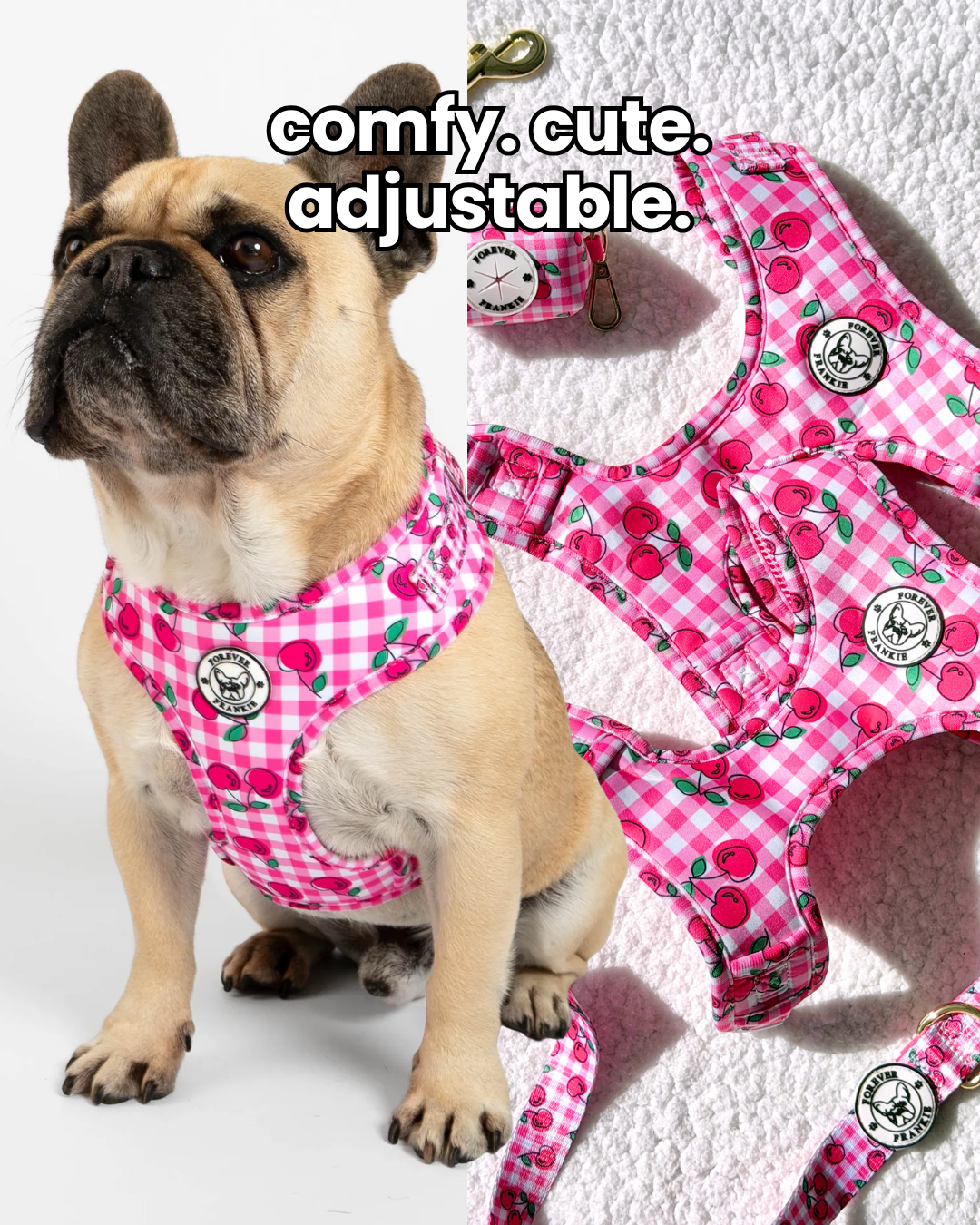 Forever Frankie Dog Accessories Facebook ad