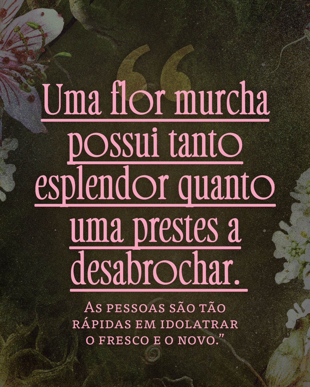 Grupo Editorial Record Facebook ad: Em Casa de raízes e ruínas, Verity descobre…