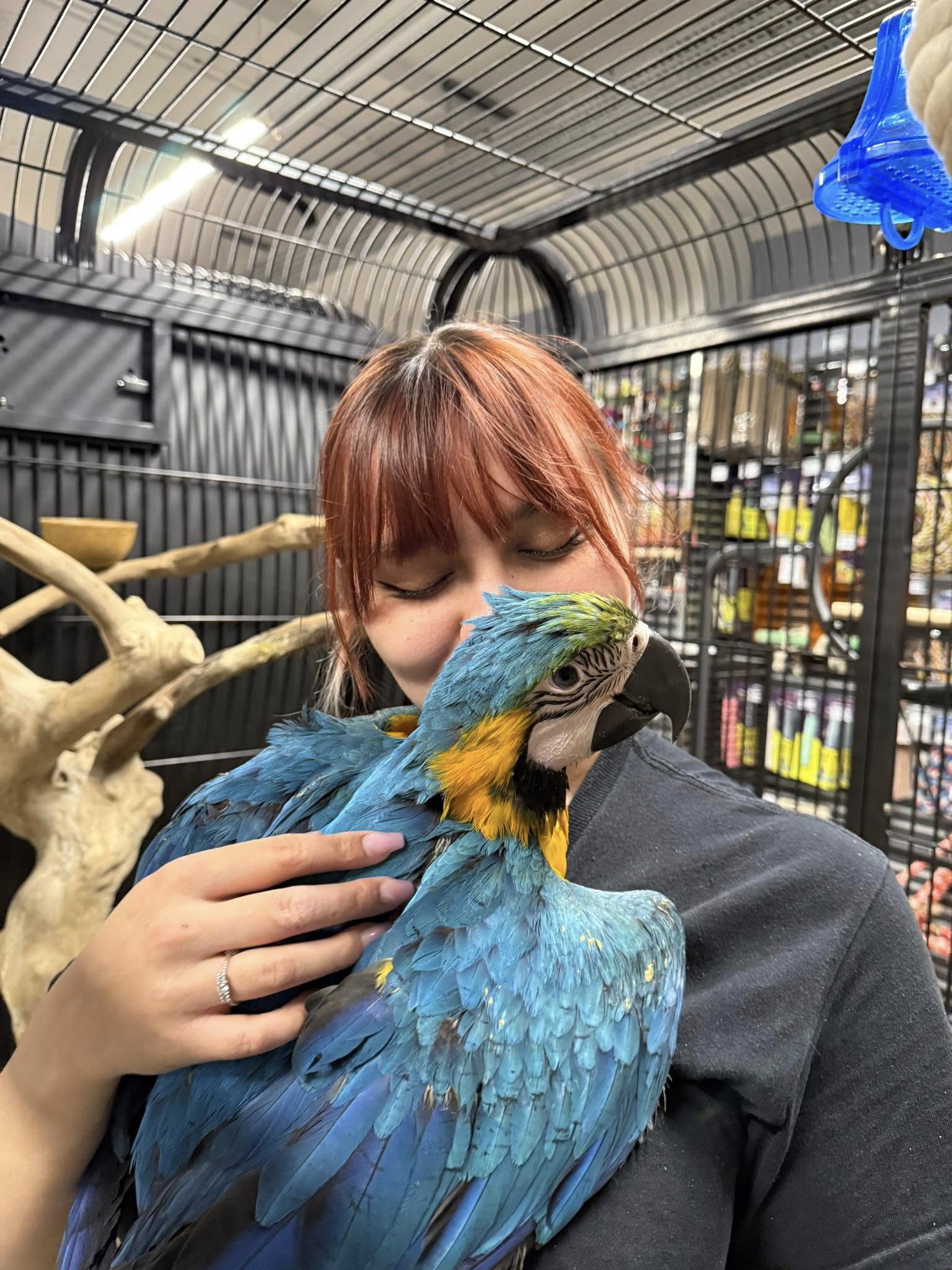 Pet Village Facebook ad