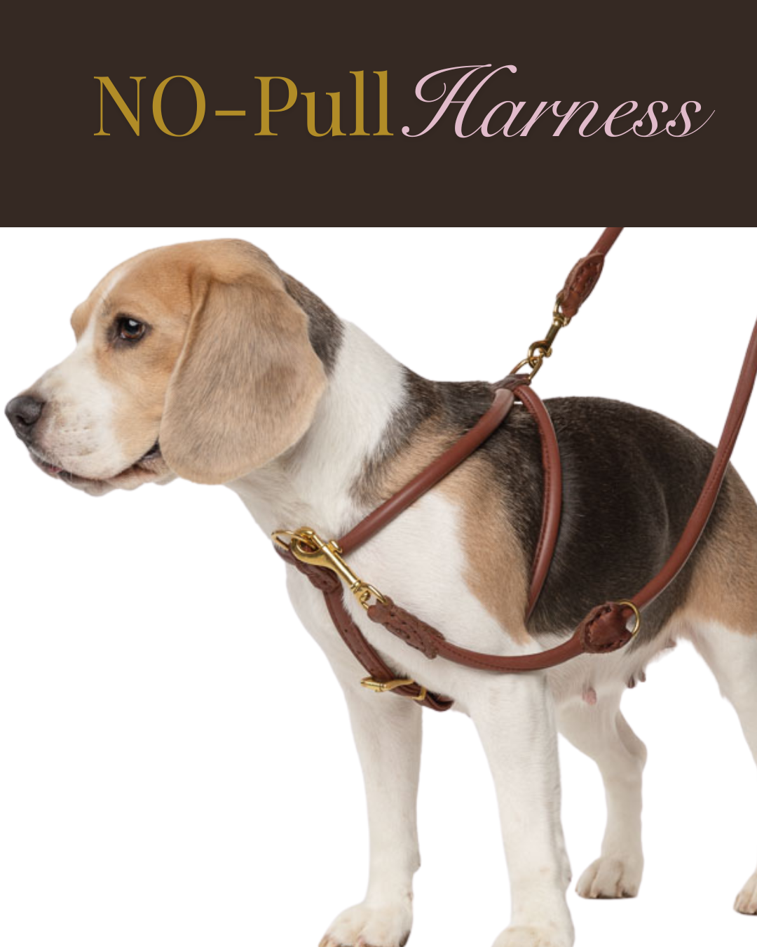 HUND Denmark Facebook ad: Tired of collars that cause irritation, matting, or…