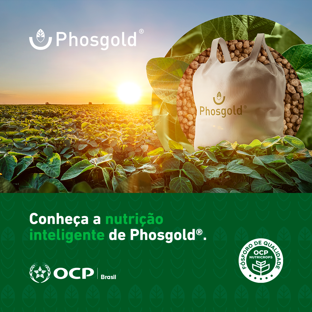 OCP Brasil Facebook ad: Combinando fósforo, enxofre, nitrogênio e cálcio, Phosgold…