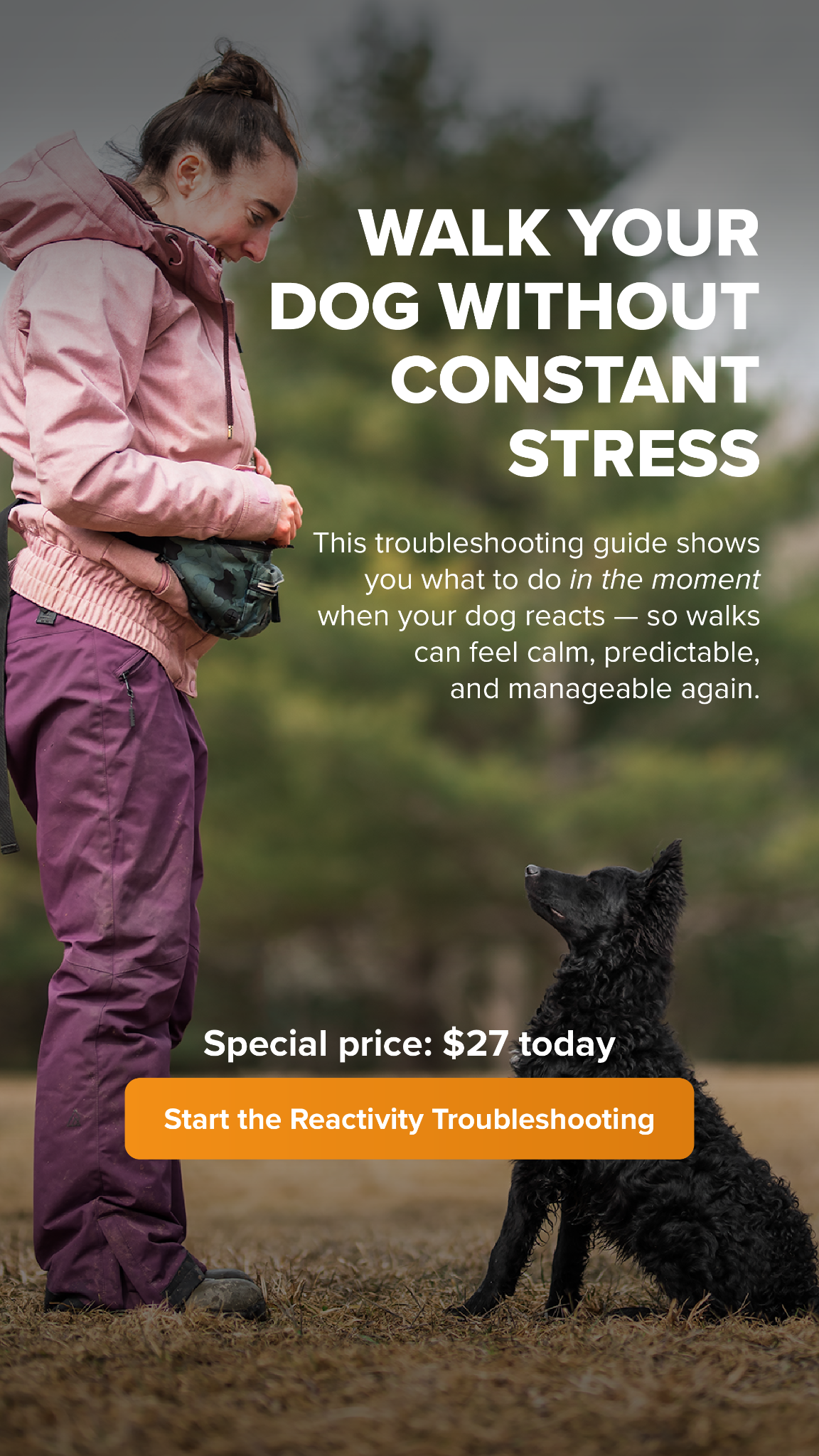SpiritDog Training Facebook ad