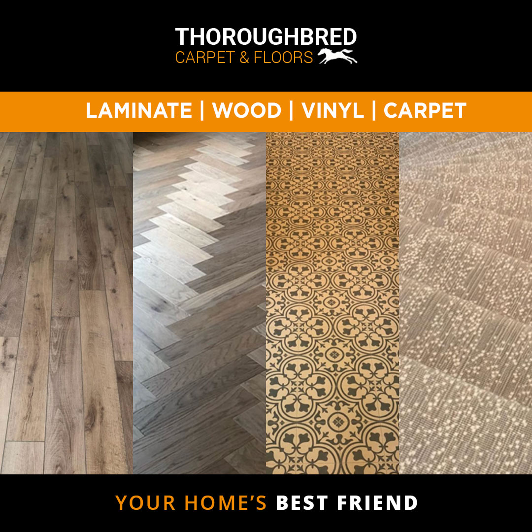 Thoroughbred Carpet and Floors Facebook ad: Free Upgraded Pad w/purchase of Carpet