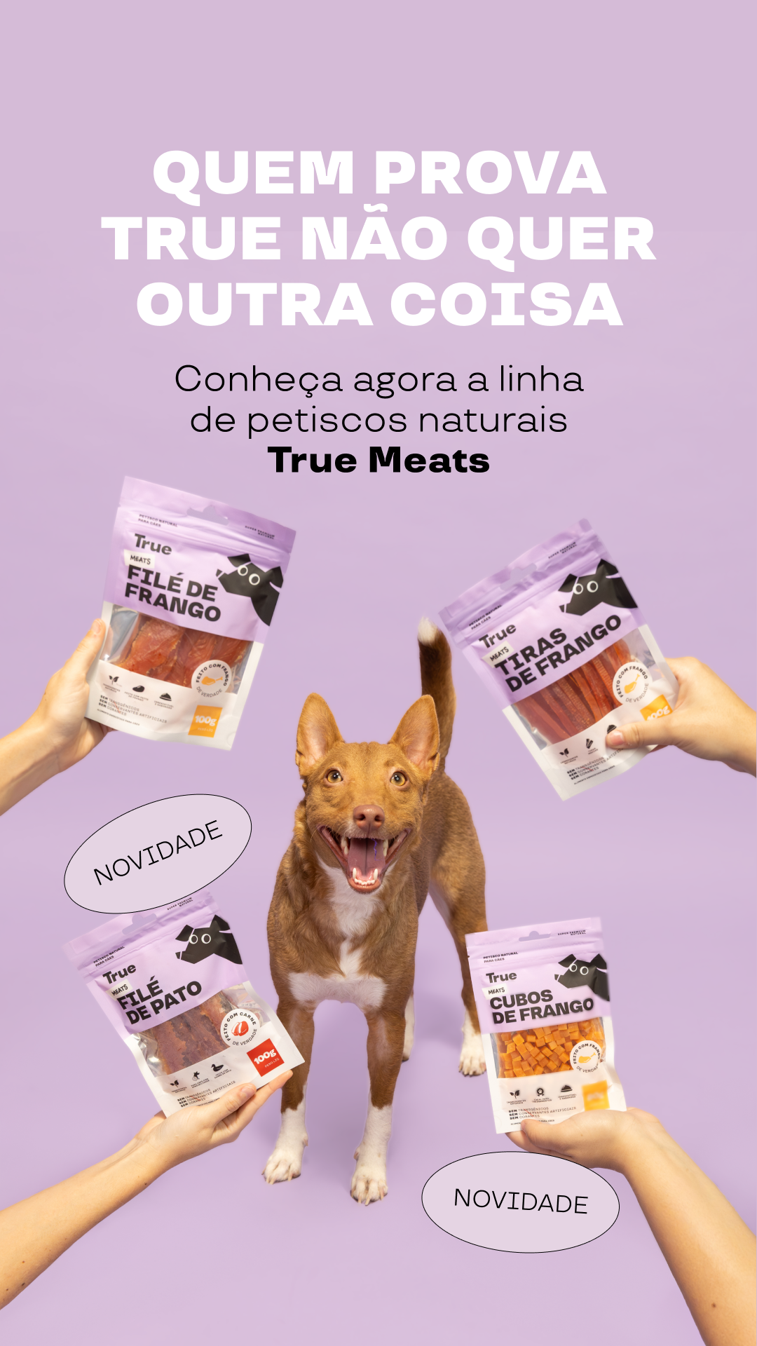 Petlove Facebook ad