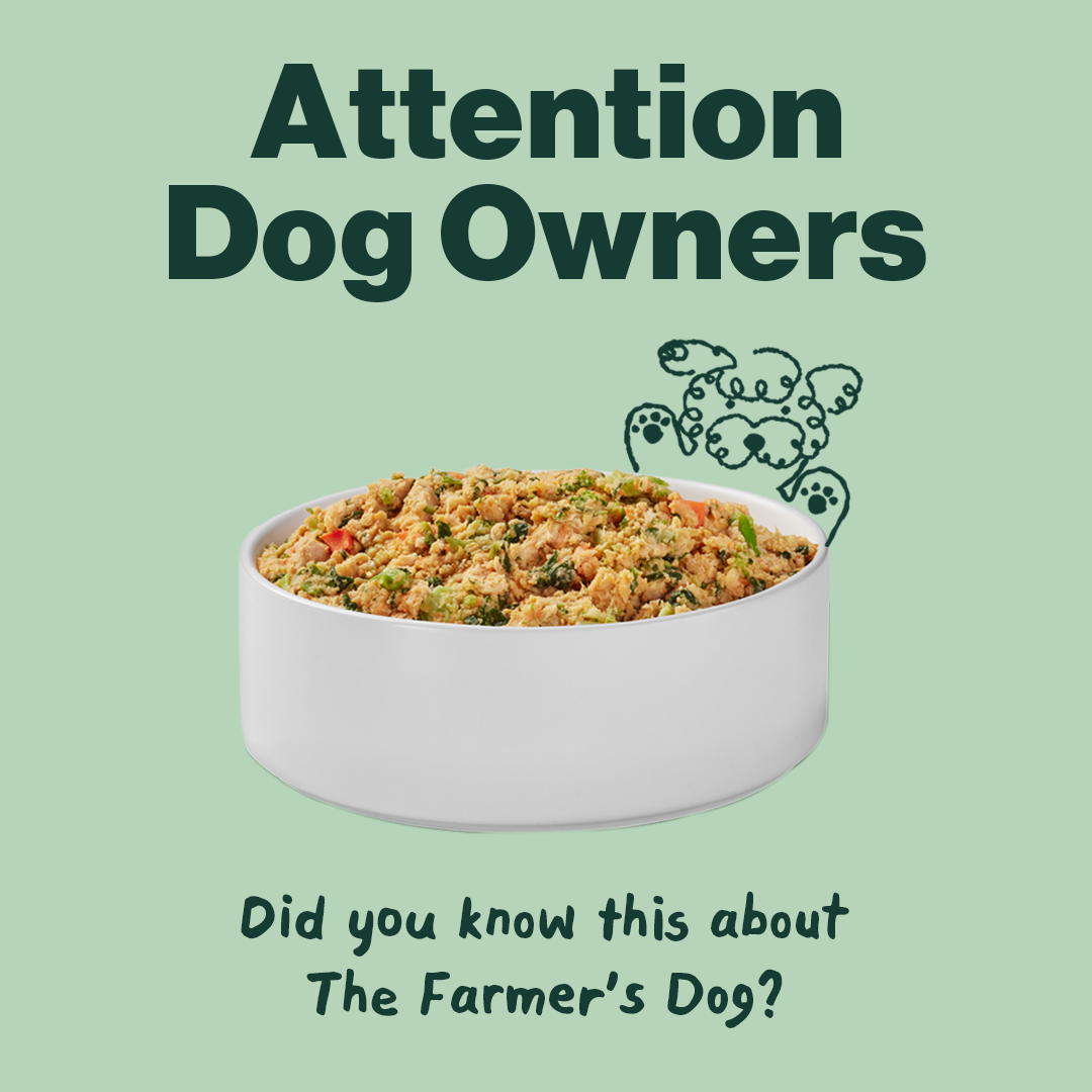 The Farmer's Dog Facebook ad