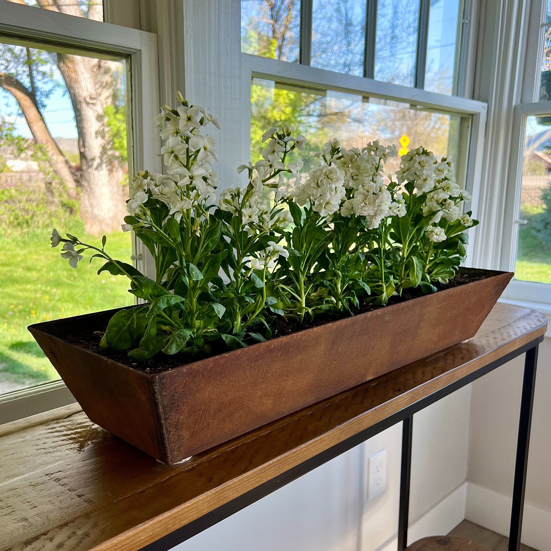 Lost River Fabrication Facebook ad: Corten Steel Planters