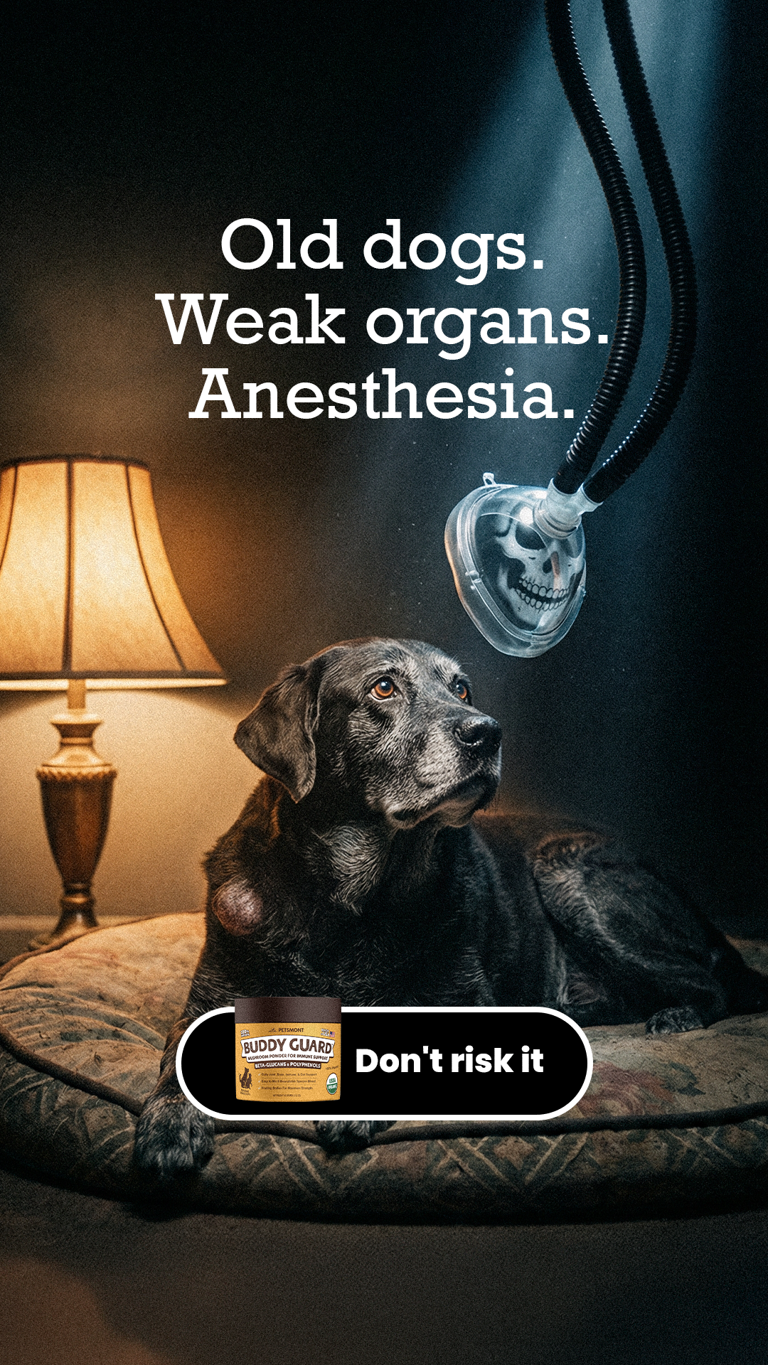 Petsmont Facebook ad