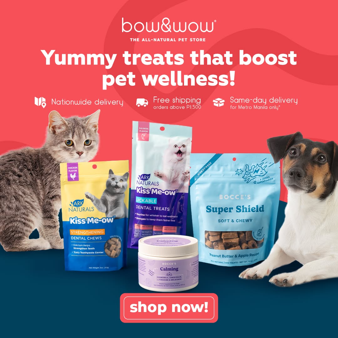Bow & Wow – The All-Natural Pet Store Facebook ad