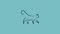 The Coastal Cat Resort and Spa