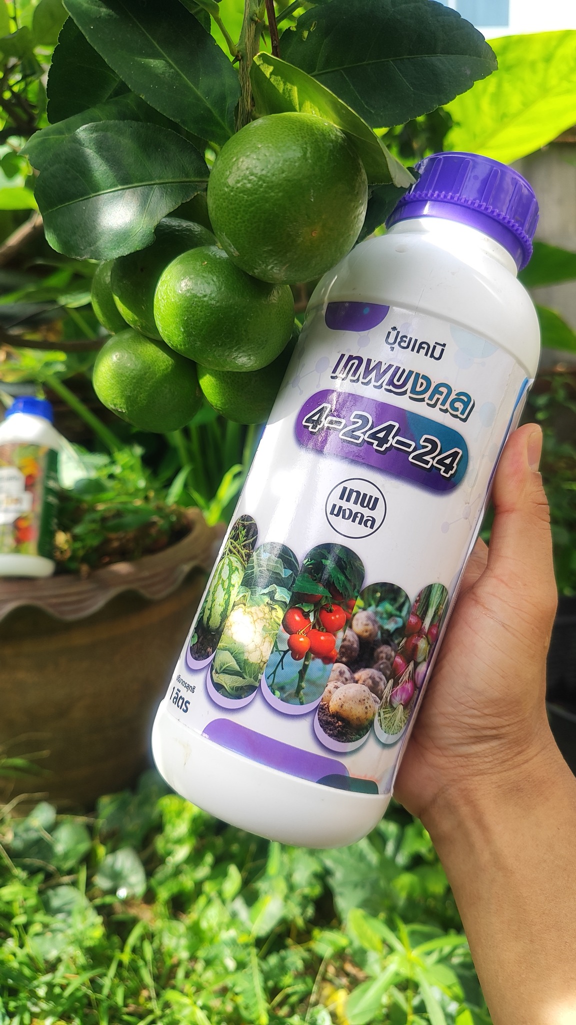 จำหน่ายปุ๋ยน้ำ สูตรพรีเมี่ยม ตราเทพมงคล Facebook ad
