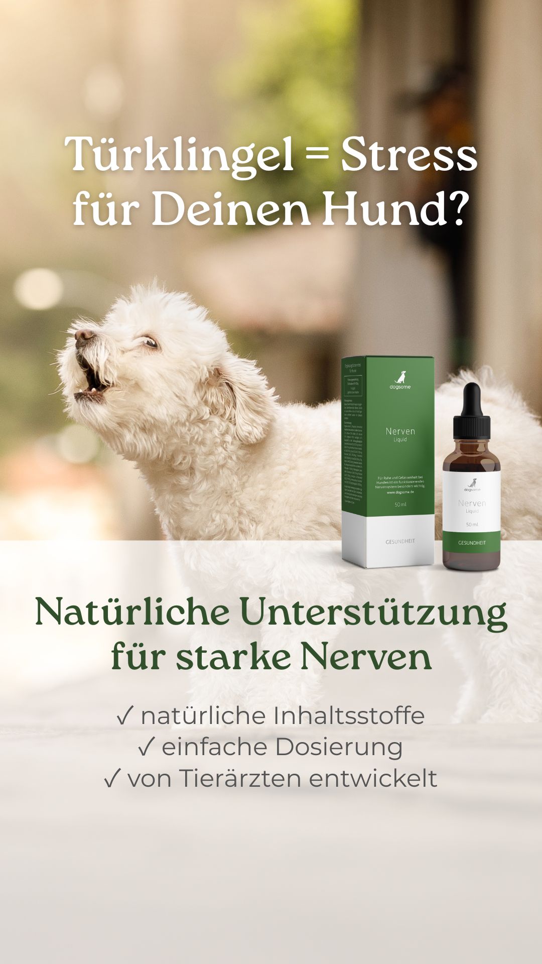 DogSome Facebook ad from Nov 21, 2025